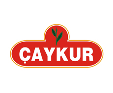 caykur caykur