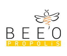 beeo-aranas beeo-aranas